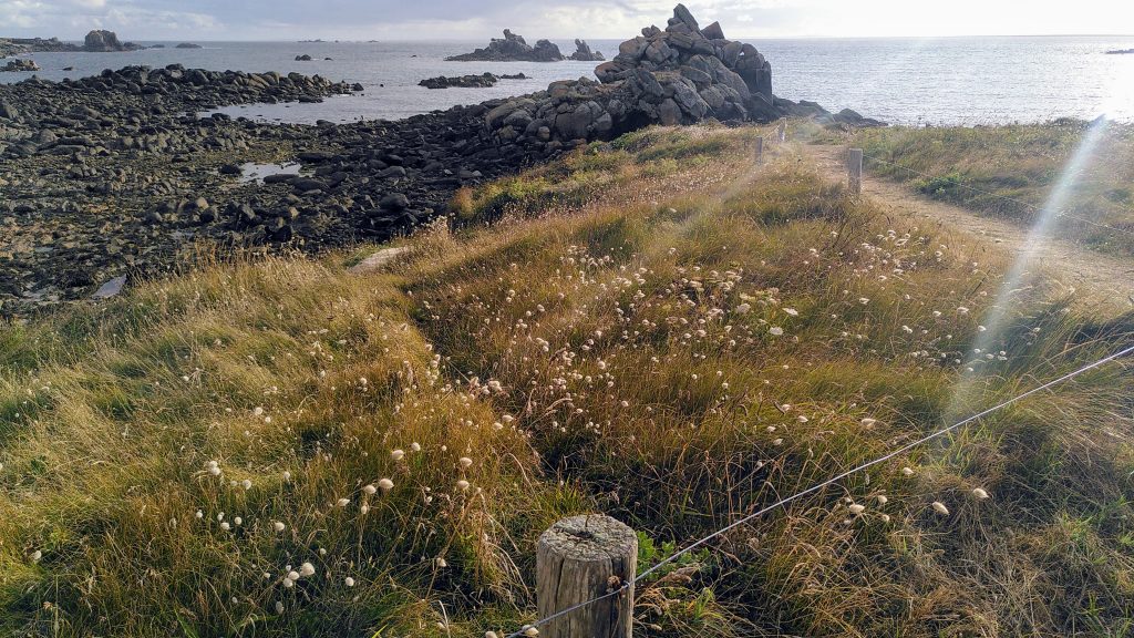 Balade livre audio Editions Alouettes