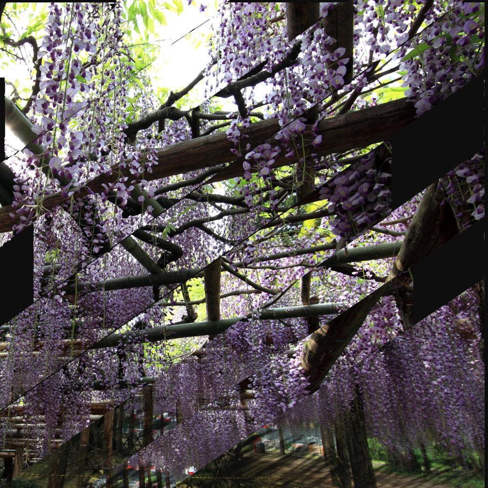 Collage bandes obliques Glycine de Colette, par les Editions Alouettes