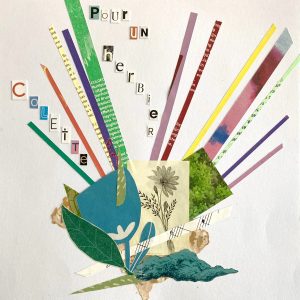 Collage Herbier